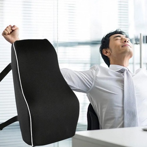 Lumbar back support - lumbar, cushion