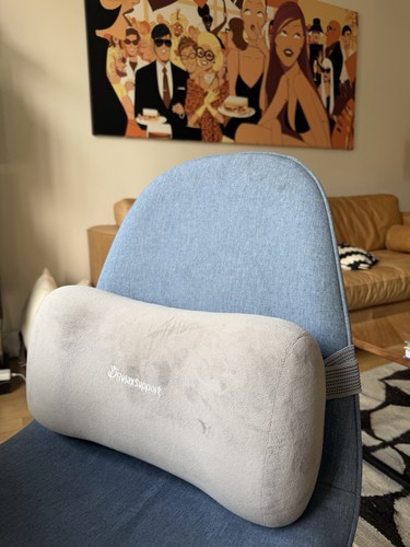 Back support pillow - support, memory