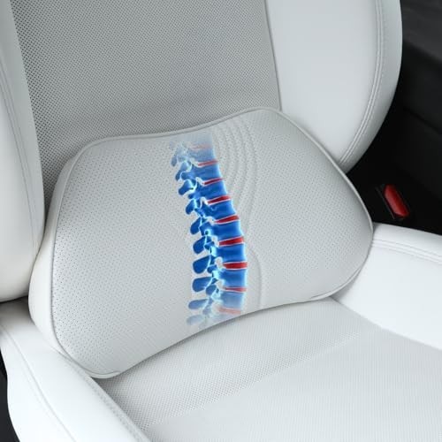 Lumbar support pillow - lumbar, car
