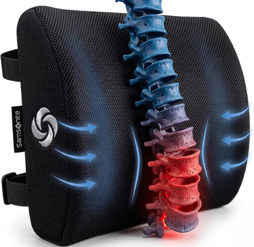 Samsonite lumbar support - samsonite,