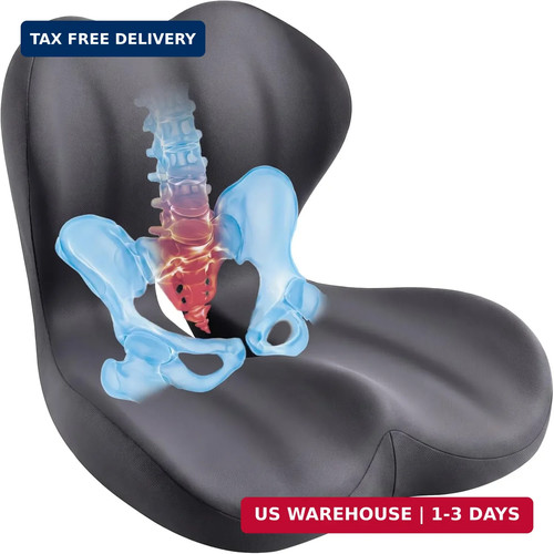 Seat cushion lumbar back - &,