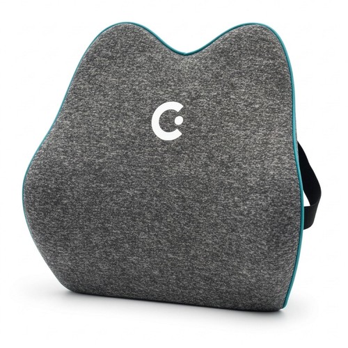 Ergonomic lumbar support - lumbar,
