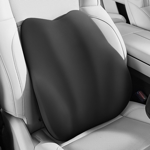 Ergonomic lumbar support - lumbar,